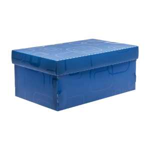 Caja de zapatos escolar armable azul